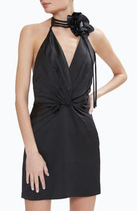 Evie Dress