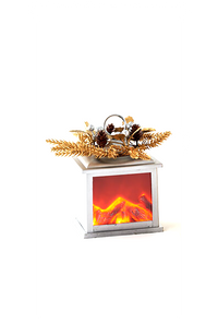 Silver Lantern with Adapter