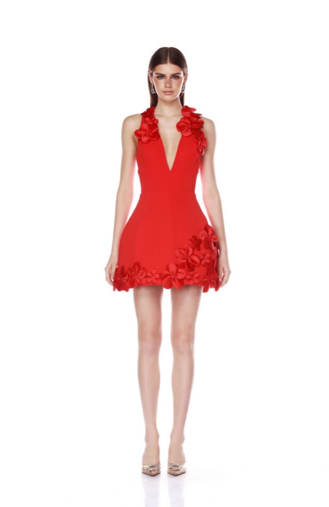 BB-26R-071RED Estelle Mini Dress