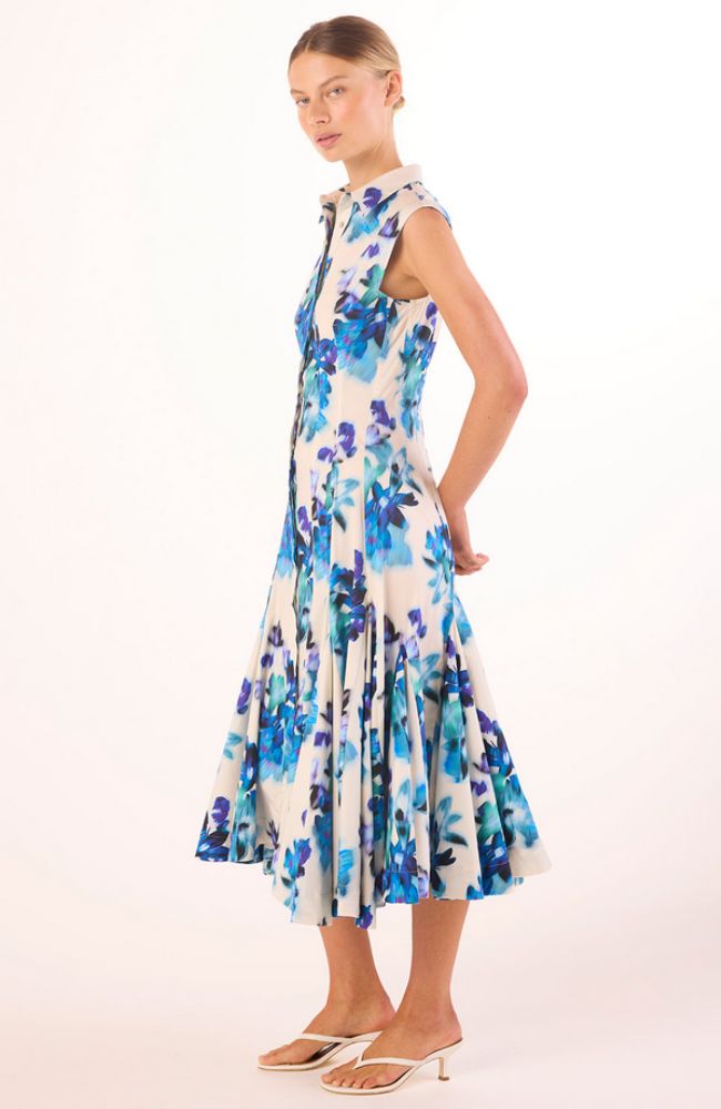 Charlotte Dress in Blurred Bouquet