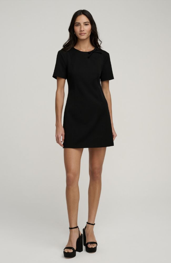The Cherie Mini Dress