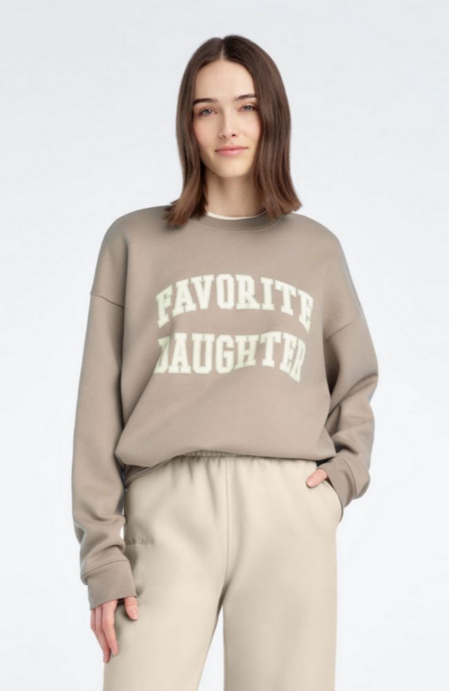 The Collegiate Sweatshirt