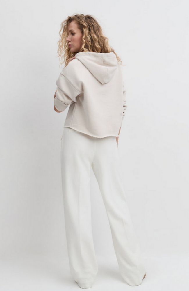 The Cropped Collegiate Hoodie