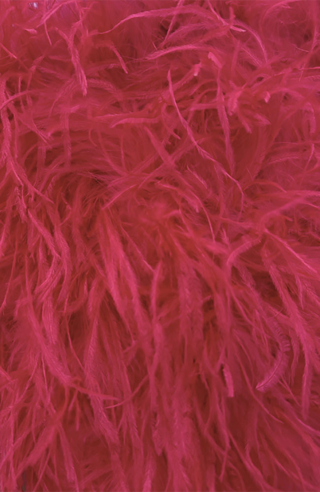 Ostrich Feather Shoulder Shrug