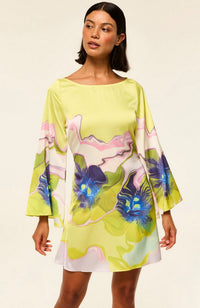 Twiggy Dress