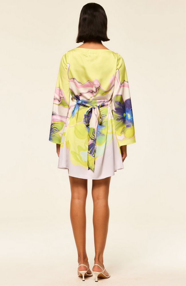 Twiggy Dress