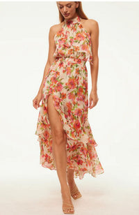 Aneva Dress