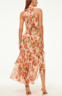 Aneva Dress