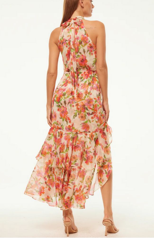 Aneva Dress