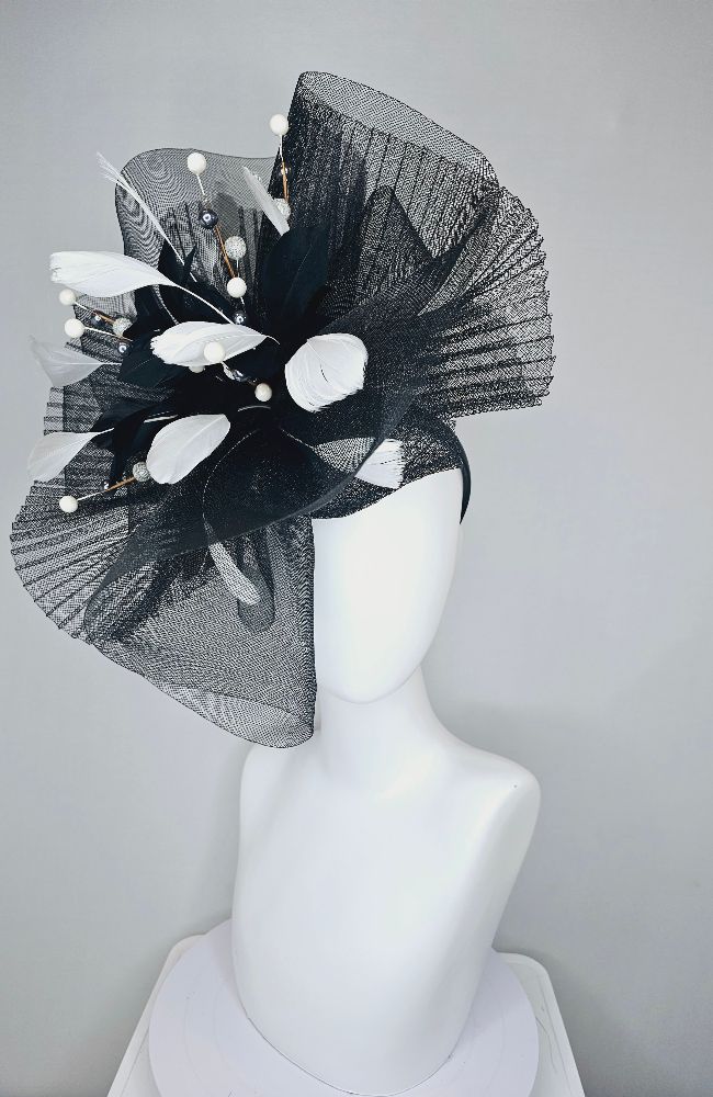 HD24-45 Black White Feathers
