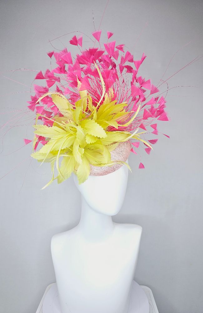 HD24-58 Lt Pink Yellow Pink Flowers