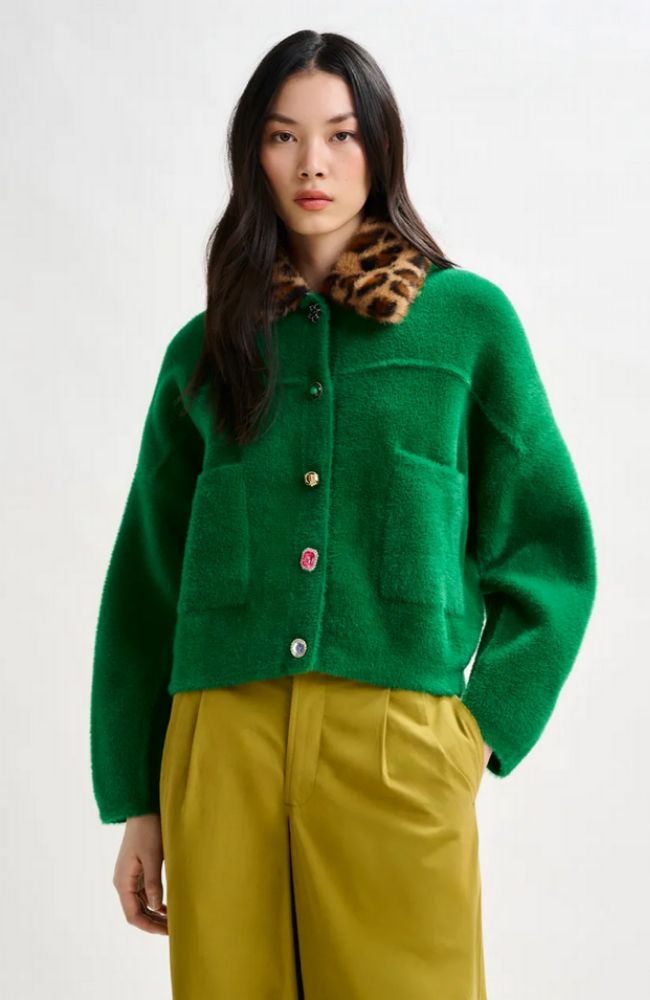 Intention Jacket with Collar