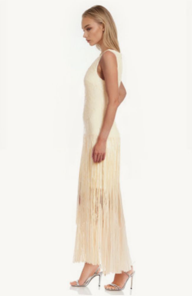 Emilia V Neck Fringe Dress