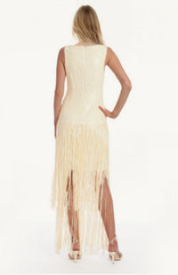 Emilia V Neck Fringe Dress