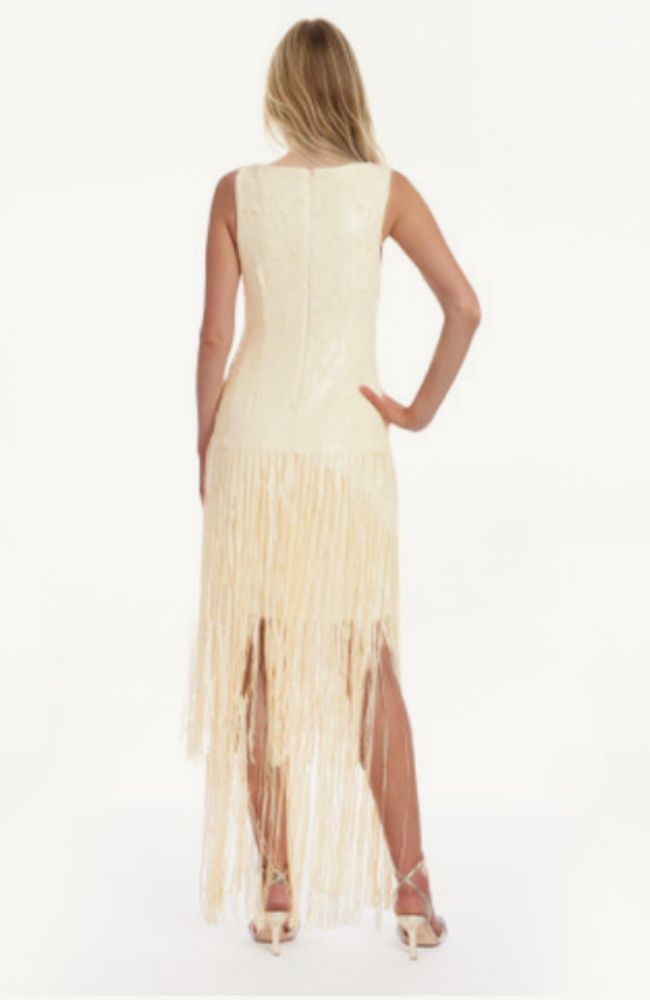 Emilia V Neck Fringe Dress