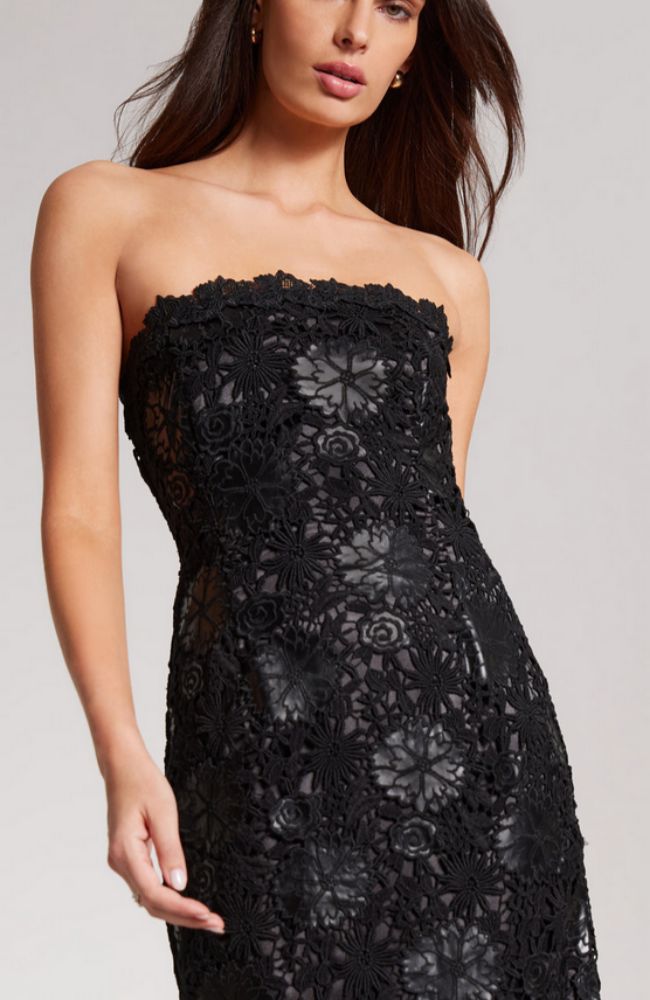 Mirelle Vegan Leather Lace Dress