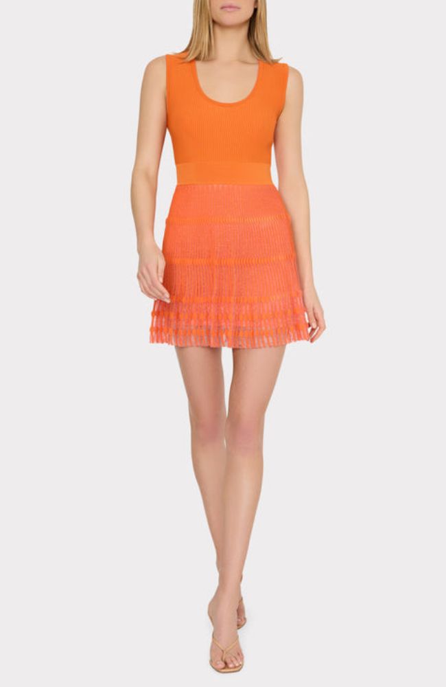 Sheer Knit Flare Mini Dress