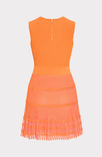 Sheer Knit Flare Mini Dress