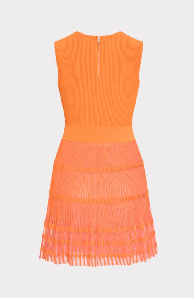 Sheer Knit Flare Mini Dress