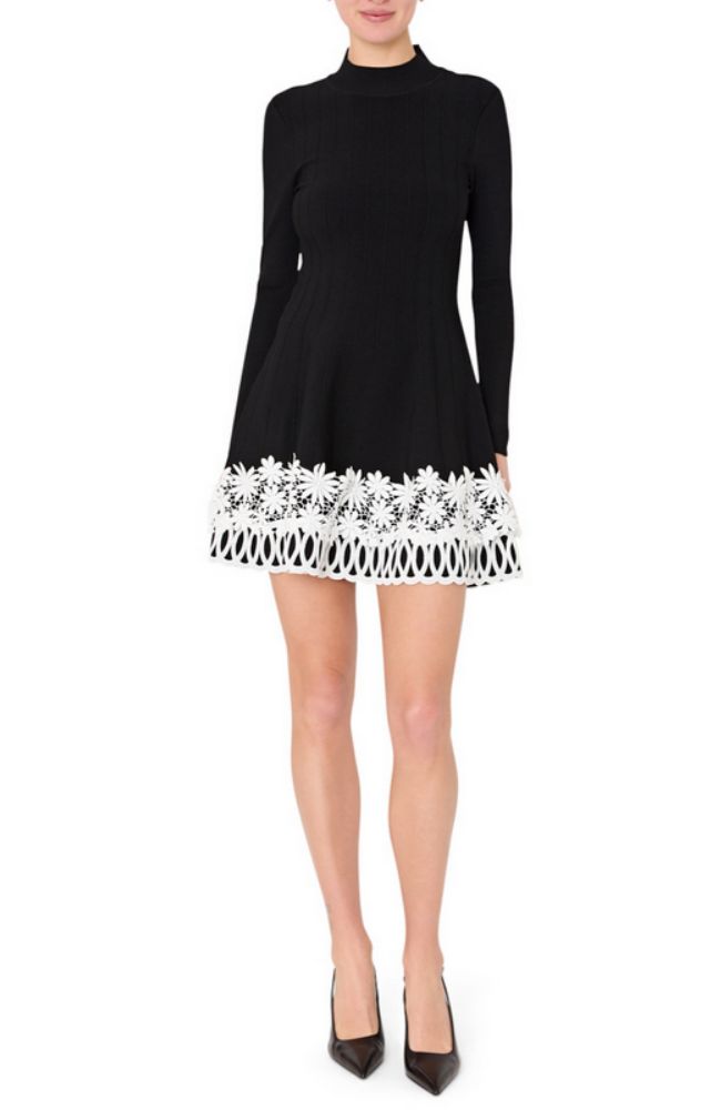 Lace Trim Fit and Flare Dress