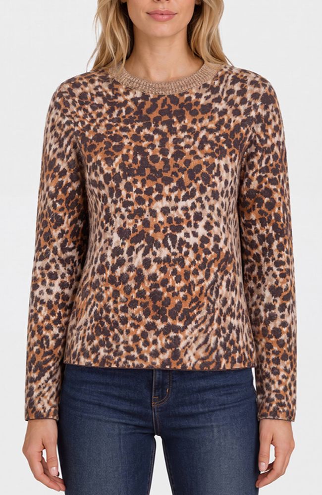 Long Sleeve Crewneck Sweater