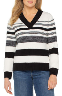 Long Sleeve V Neck Sweater