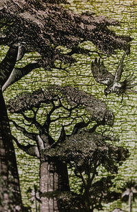 Candle Max 10 Sacred Trees Classique