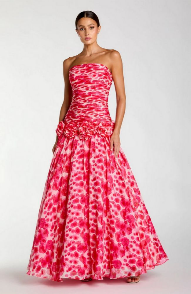 Chiffon Drop Waist Gown