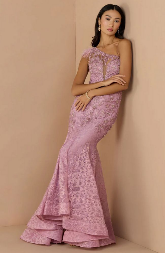 Feathered One Shoulder Gown