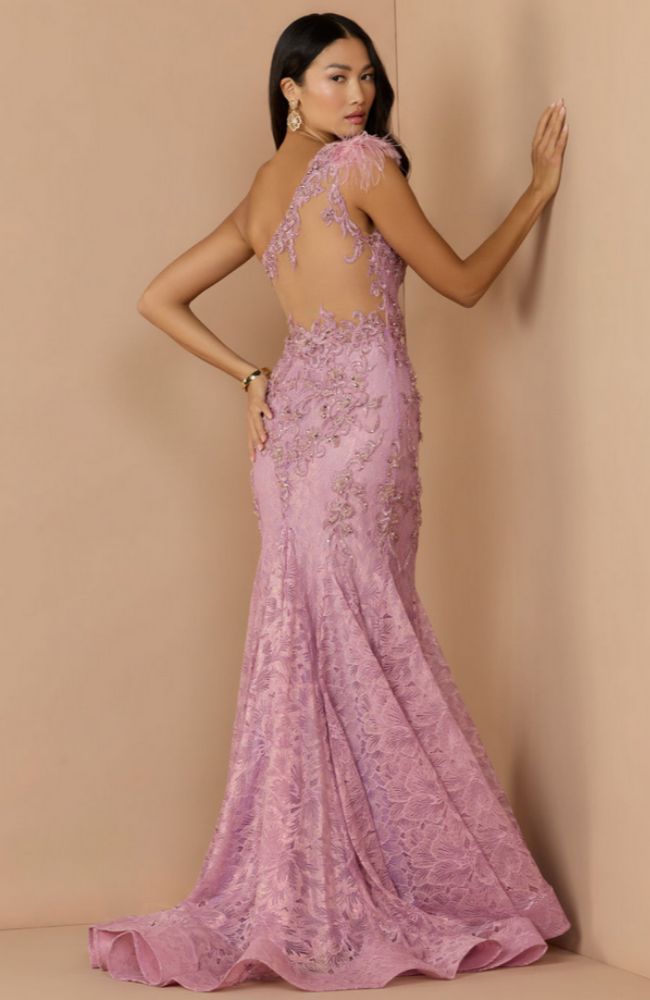 Feathered One Shoulder Gown