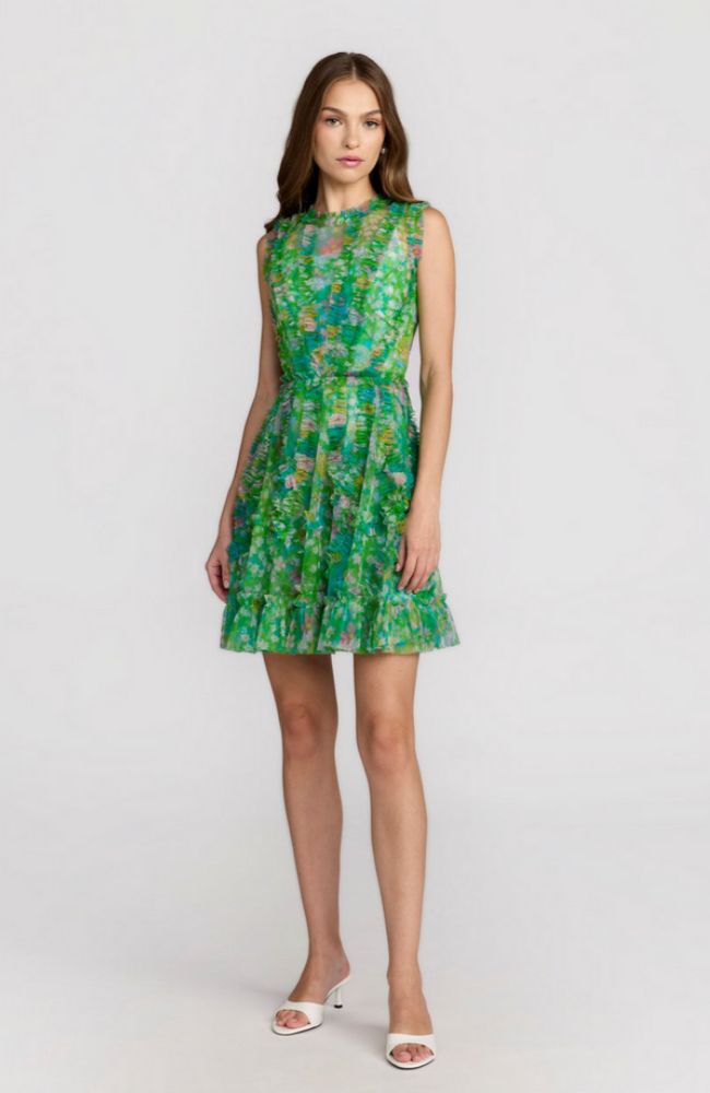 Mesh Micro Ruffle Mini Dress