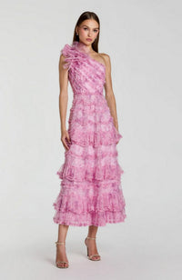 Mesh Ruffle A Line Midi Dress