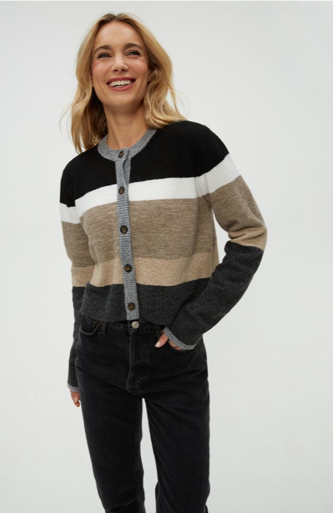 Fiona Stripe Crewneck Cardigan