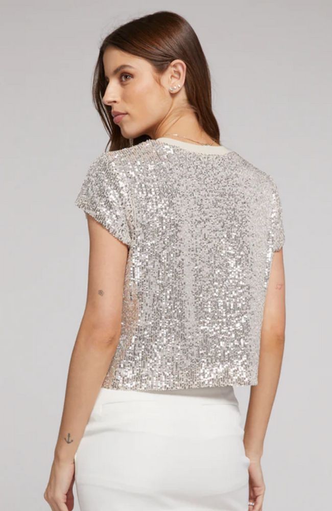 Kai Sequin Top in Silver