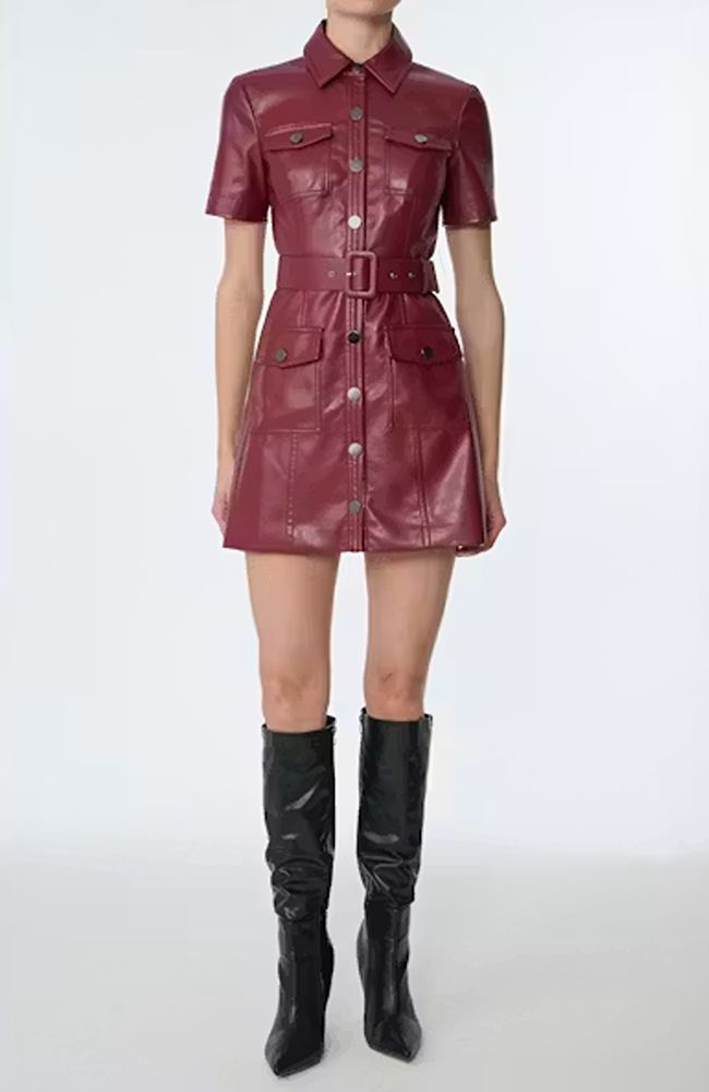 TF6646M038 Lydia Mini Dress