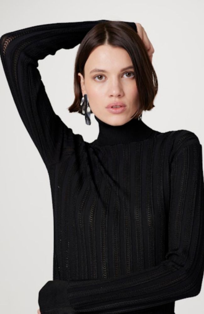 Nancy Turtleneck