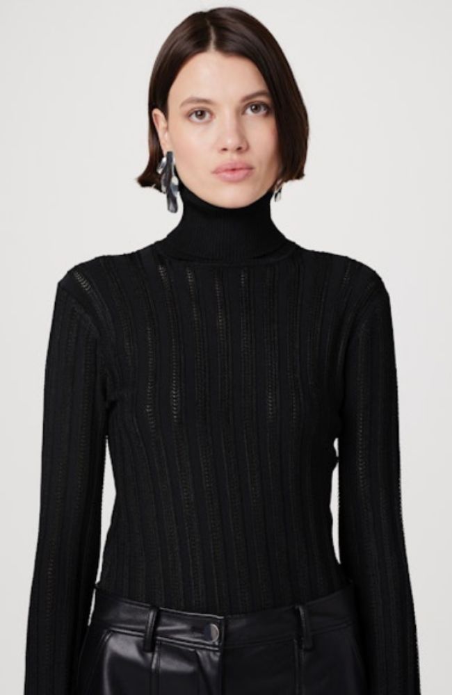 Nancy Turtleneck