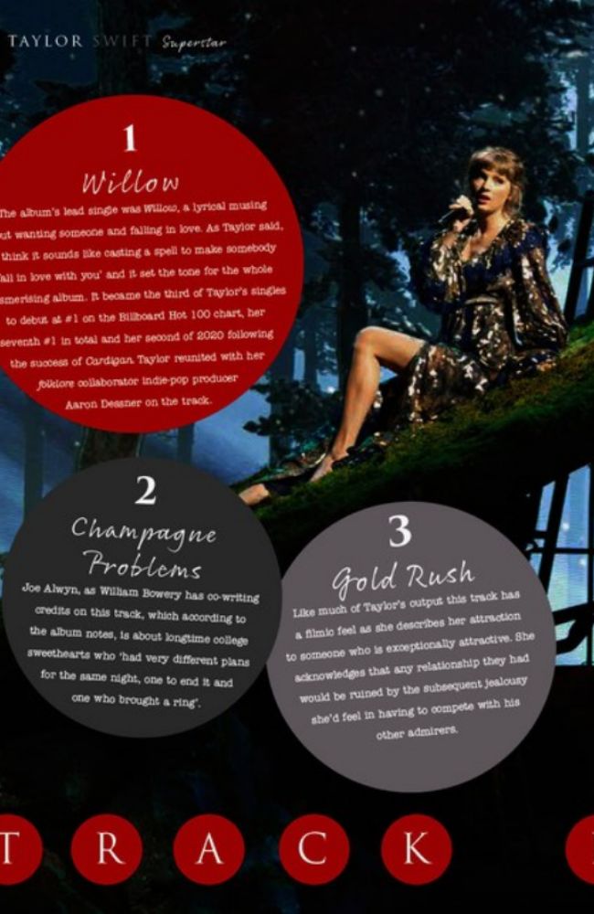 Taylor Swift Superstar Book