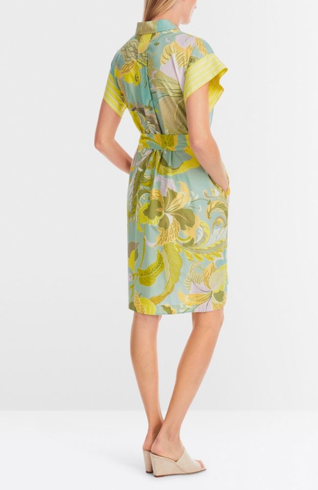 Collar Dress