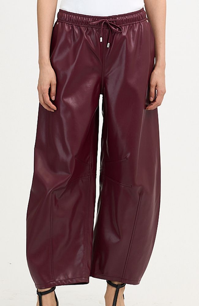 Vegan Leather Brooks Pant