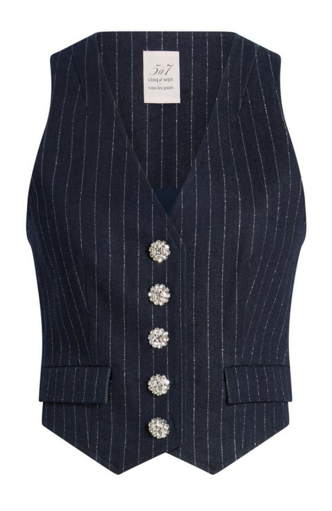 Metallic Pinstripe Anderson Vest