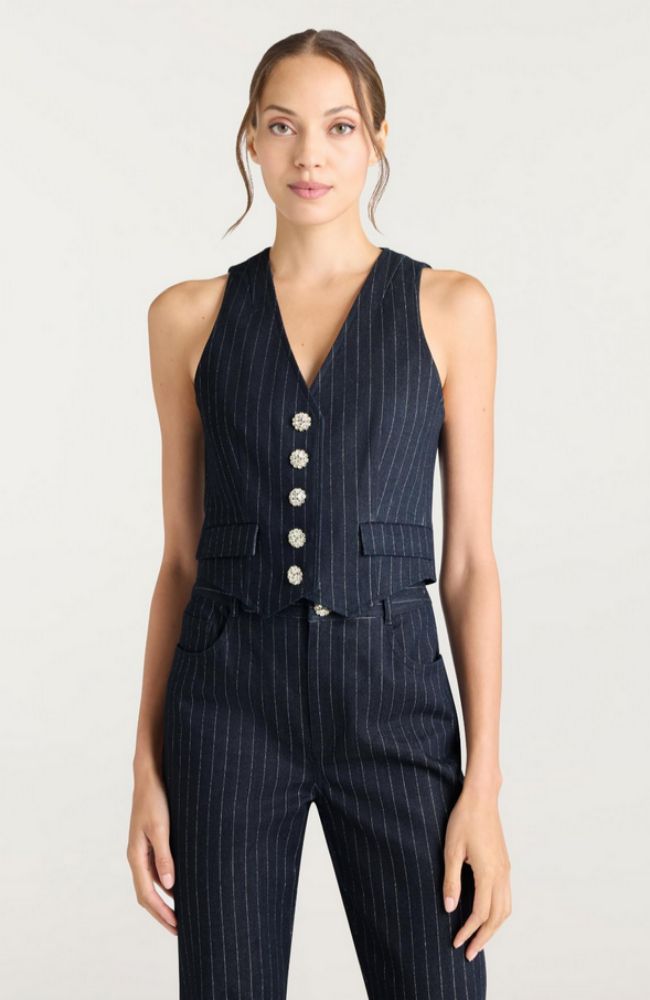 Metallic Pinstripe Anderson Vest