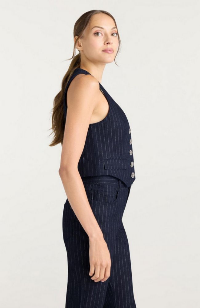 Metallic Pinstripe Anderson Vest