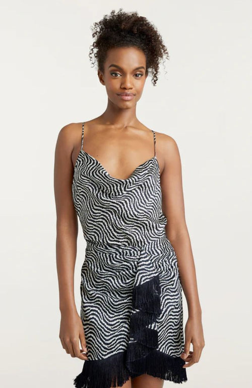 Zebra Marta Cami