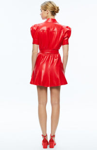 Lurlene Shortsleeve Mini Dress