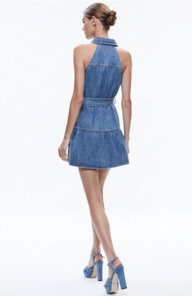 miranda mini dress Miranda Mini Denim Dress – shoprodeodrive