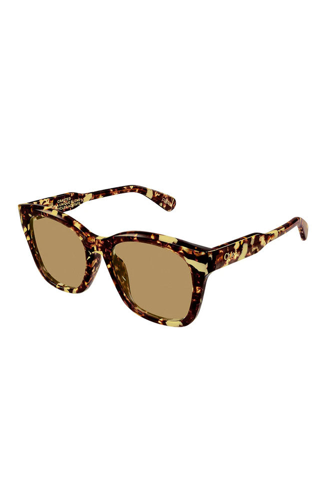 Chloe Havana Brown Sunglasses