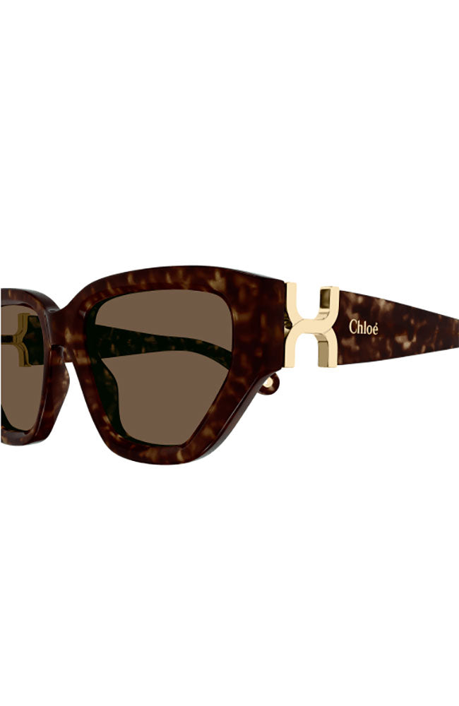 Chloe Sunglasses Havana Cat Eye