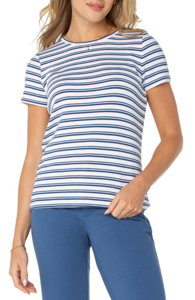 Slim Fit Strped Crew Neck Knit Tee