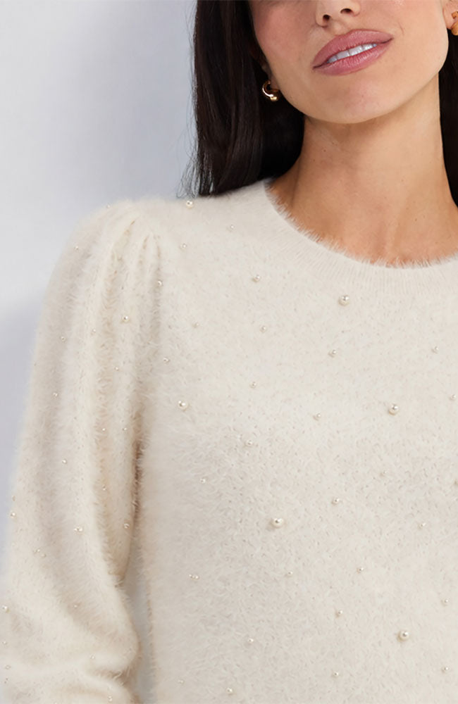 Long Puff Sleeve Crewnck Sweater